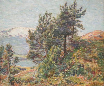 Paesaggio con pini norvegesi da Walter Griffin